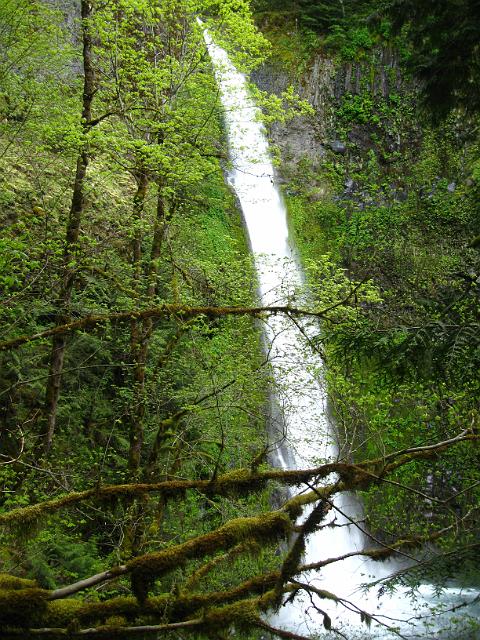 Eagle Creek-152.JPG - Tunnel Falls
